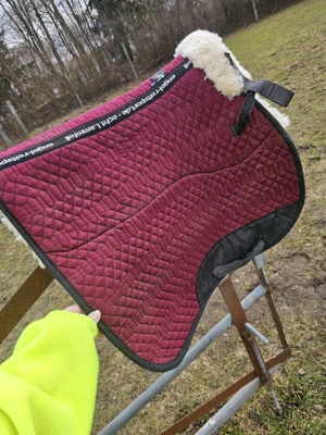 Freizeitsattel   Vielseitigkeitssattel Bild 9