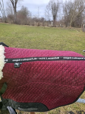 Freizeitsattel   Vielseitigkeitssattel Bild 8