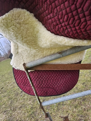 Freizeitsattel   Vielseitigkeitssattel Bild 10