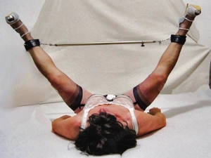 Passive DWT- Hobbyhure sucht Bild 4