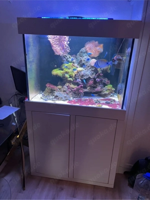 Meerwasser komplett 500l 