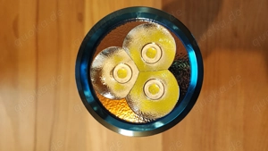 Olight X7 Marauder Kit