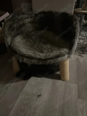 Hocker für Katzen