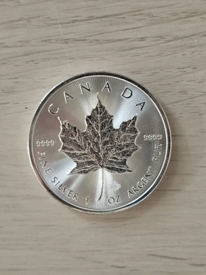 1 oz Silbermünze Meaple Leaf - Feinsilber 999 1000. Versand inkl. + Münzkapsel