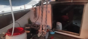 Segeln? Nette Sie gesucht für MEER  WIND    