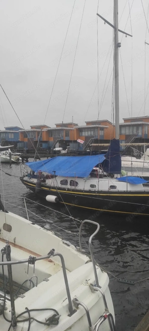 Segeln? Nette Sie gesucht für MEER  WIND     Bild 2