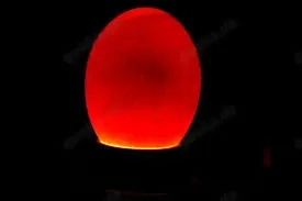 Bruteier schwarze Krüper