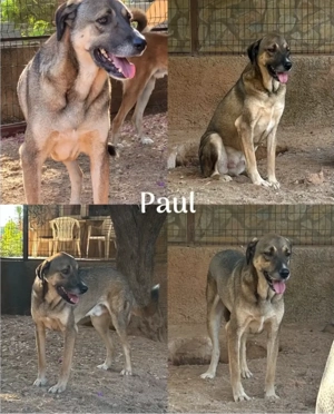 Paul wartet seit 2021 auf sein Wunder Bild 1