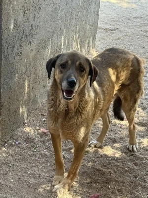 Paul wartet seit 2021 auf sein Wunder Bild 2