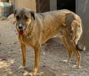 Paul wartet seit 2021 auf sein Wunder Bild 3