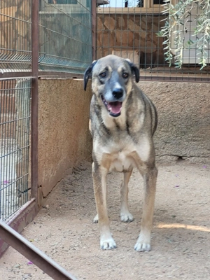 Paul wartet seit 2021 auf sein Wunder Bild 4