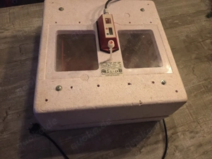 Bruja 400 Rosa Inkubator 