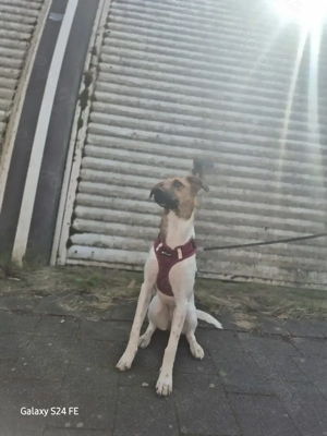 Naila steckt voller Lebensfreude