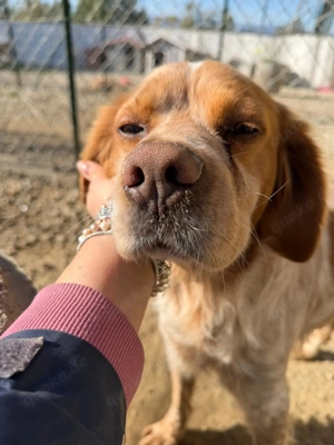 Hier kommt der wundervolle Argo!