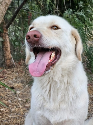 Mosé   jung, neugierig & voller Lebensfreude
