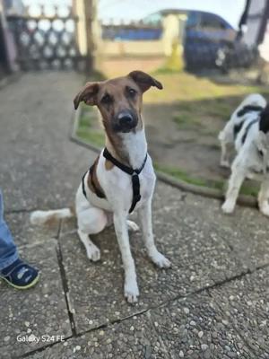Naila steckt voller Lebensfreude