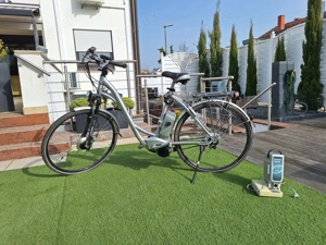 Flyer E-Bike 28 Zoll   Top Zustand   nur 2000 km   2 Akkus   Neupreis 2.800  