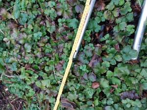 Kombi Geräte  für den Garten 