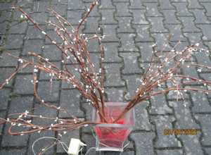 Glasbodenvase massiv mit Leuchtzweigen