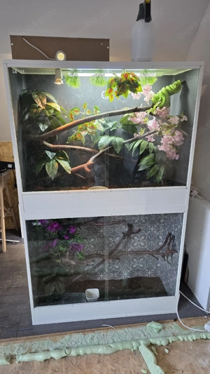 verschiedene terrarium 