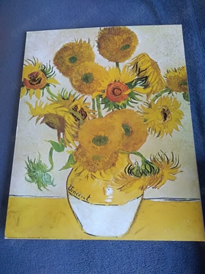 Bild Vincent Van Gogh 