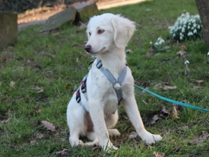 Gioia sucht ihr Zuhause