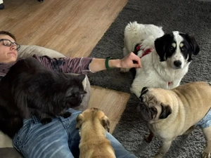 Lele sucht sein Zuhause