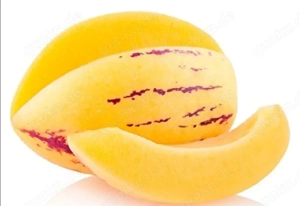 Melonenbirne Stecklinge Bild 2