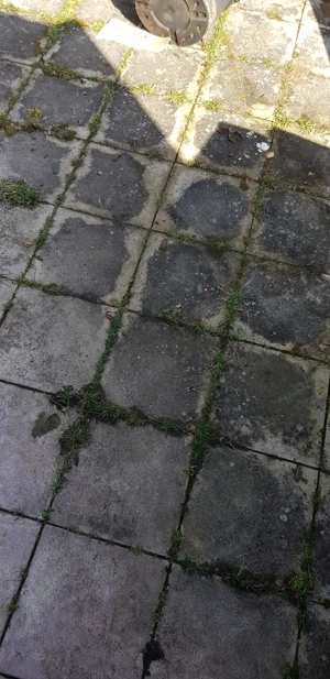 Platten von 30 x 30 cm zu verschenken 