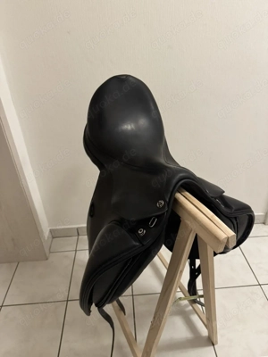 Pferdesiegel  Bild 2