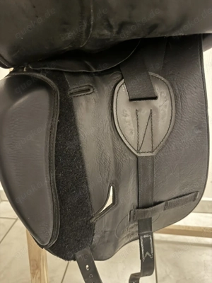 Pferdesiegel  Bild 5