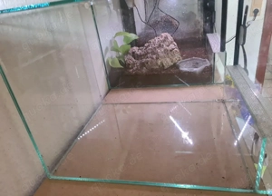 Terrarium zu verkaufen 