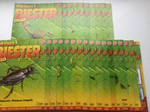 Mini Biester Hefte Sammlung Set Konvolut 