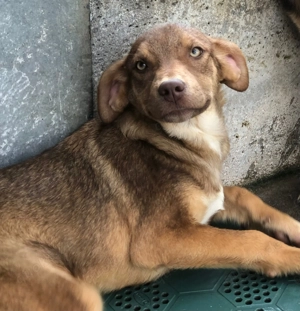 Becky auf Freiheitskurs