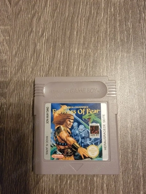 Wizards & Warriors Fortress of Fear Game Boy Spiel