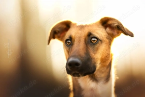 Naila steckt voller Lebensfreude