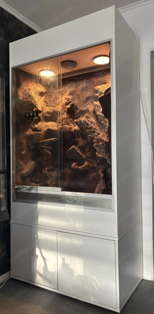 Terrarium 100x60x160 cm mit unterschrank zu verkaufen 
