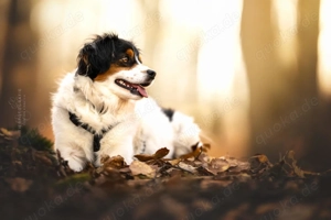 Molly - sanft und besonders