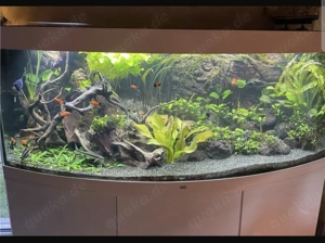Aquarium 450l