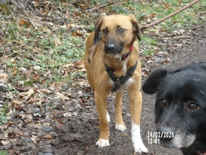 Sira wartet auf ihr Happy End