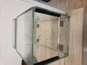 Terrarium 15  25 15 cm Übergabe in Hamm am 14.3 möglich 