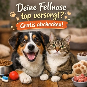 Deine Fellnasen top versorgt? Gratis abchecken!