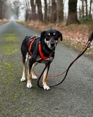 Elke - eine sensible Begleiterin 