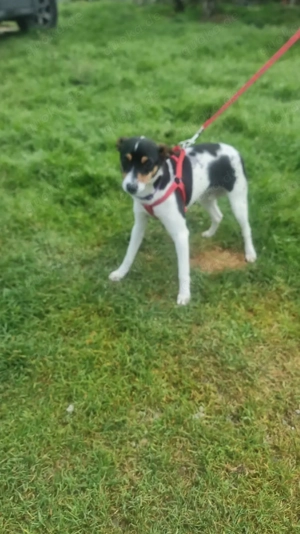 Mini-Mädchen Mandy sucht ihre Familie!