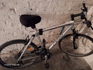 SCOTT Sportster  TOP 1line flite