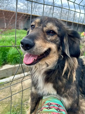 Anne ist so wunderschön