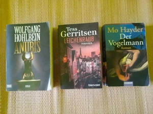 Hohlbein: Anubis  Gerritsen: Leichenraub  Hayder: Der Vogelmann  3x Thriller  EINZELKAUF MÖGLICH