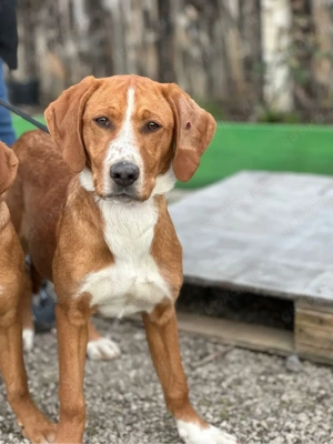 Mari auf der Suche nach ihrem Glück