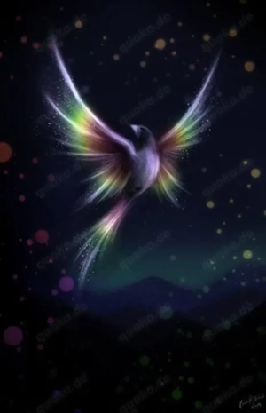 Partnerrueckfuehrung. kompetente Beratung-holen auch Sie sich ihr Glueck zurueck 