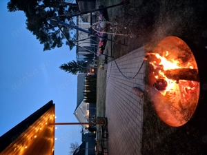 Welpen gesucht Familienmitglied 